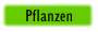 Pflanzen